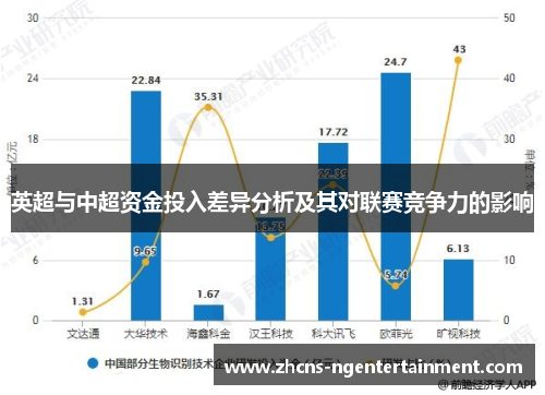 英超与中超资金投入差异分析及其对联赛竞争力的影响