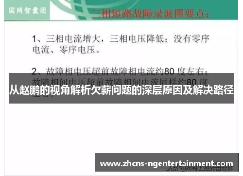 从赵鹏的视角解析欠薪问题的深层原因及解决路径