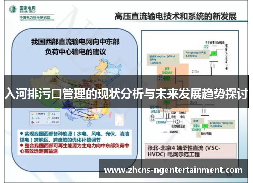 入河排污口管理的现状分析与未来发展趋势探讨