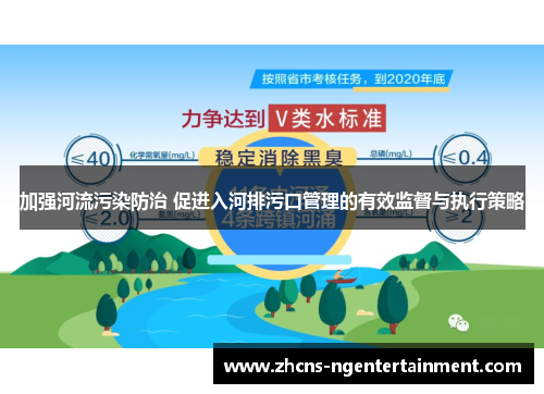 加强河流污染防治 促进入河排污口管理的有效监督与执行策略