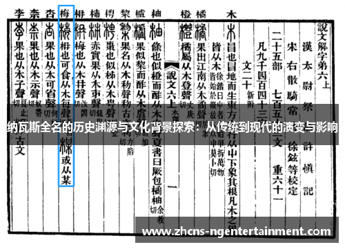 纳瓦斯全名的历史渊源与文化背景探索：从传统到现代的演变与影响