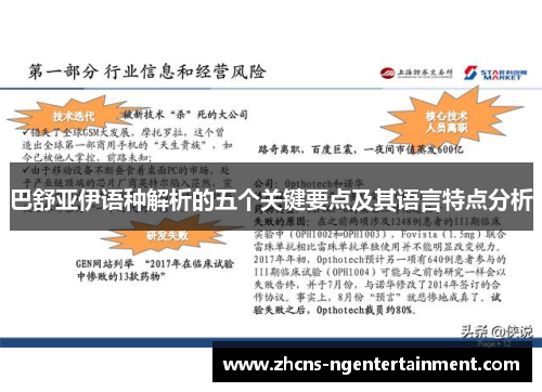 巴舒亚伊语种解析的五个关键要点及其语言特点分析